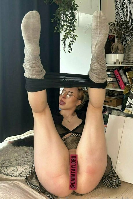 nini bb HDモデル 写真