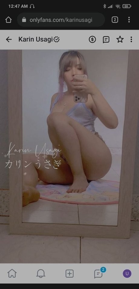 Karin Usagi HDモデル 写真