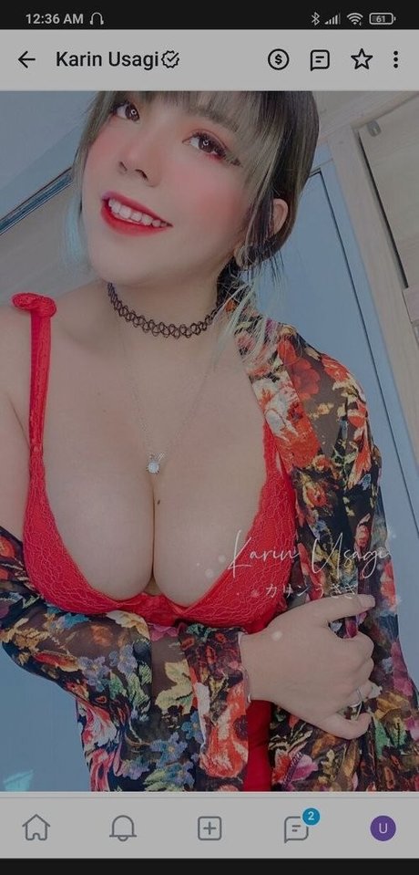 Karin Usagi ポルノスター アダルト 画像