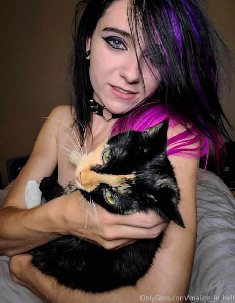 malice in hell ホットモデル 画像