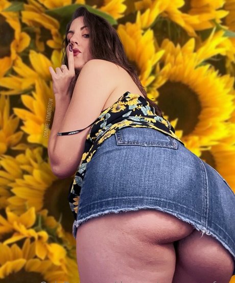 dommetomorrow free アートスター 写真