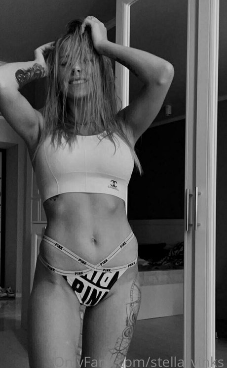 stella vinks ポルノスター アート 画像