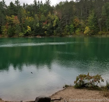 gingerhippie74 無料のスター 画像