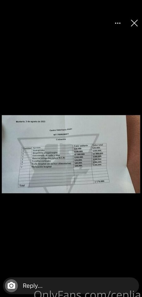 ceplia ヌードモデル 画像