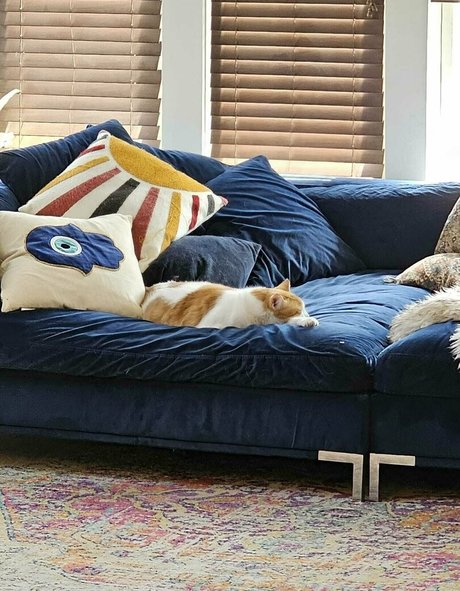 hotmesstv ポルノスター 写真