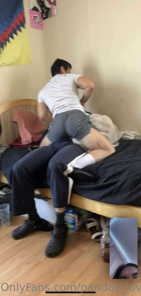 pandas lover 最高のモデル 画像