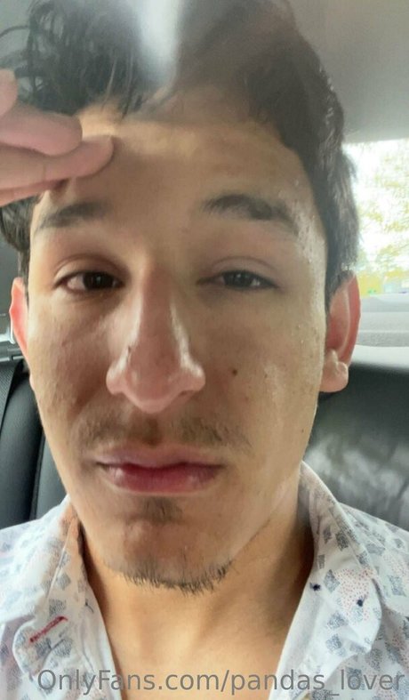 pandas lover 素敵なポルノスター 画像