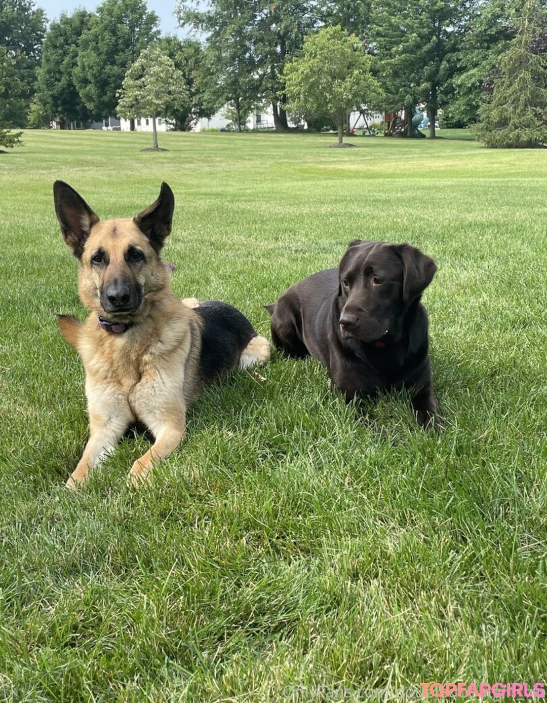 doubledboatgirl vip 美しいポルノスター アーカイブ