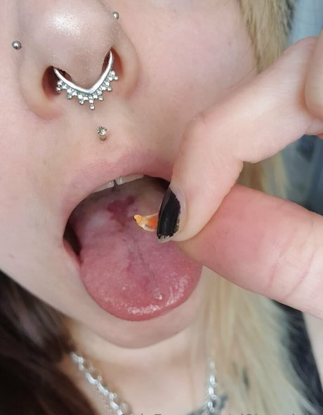 エボニートランスオンリーファンズ ホット裸 写真