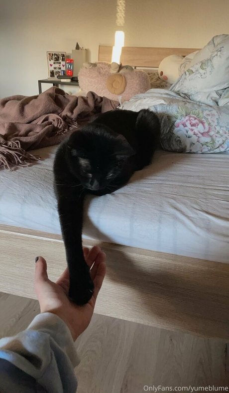 69フェラチオOnlyFans セクシーヌード 写真