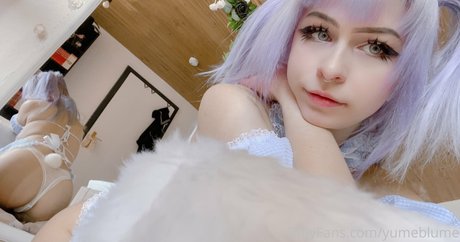 Yumeblume HDモデル 写真