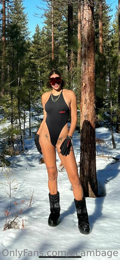 Elizabeth Cambage 最高のモデル アーカイブ