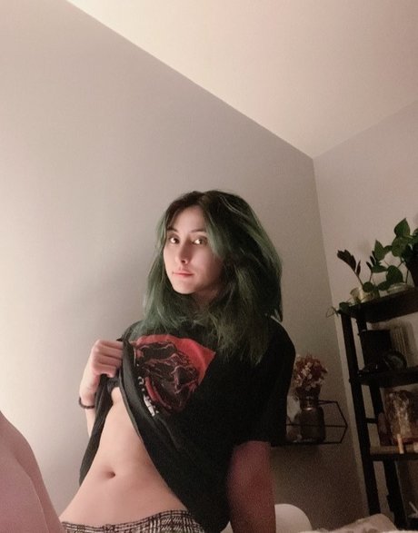 Sinastri ポルノスター パーフェクト 写真