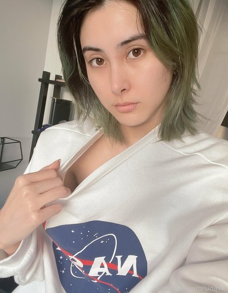 Sinastri 完璧なモデル 画像