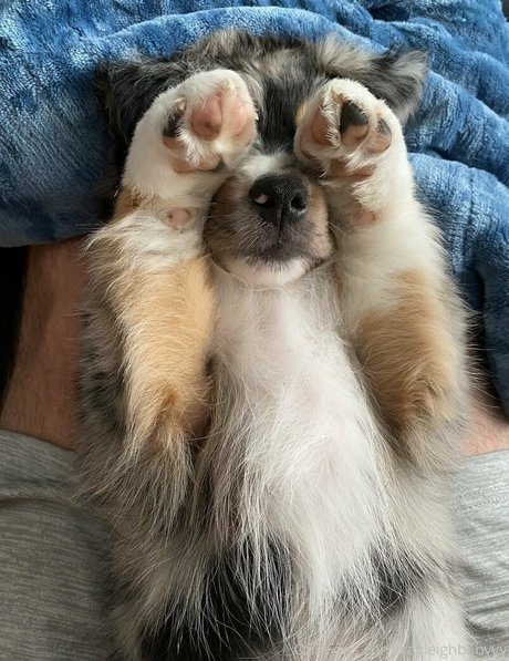 Kayleighbabyyy 最高のスター アーカイブ