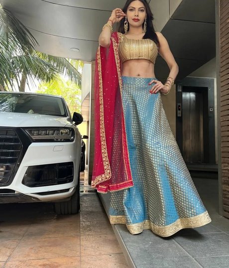 Sherlyn Chopra ポルノスター ギャラリー