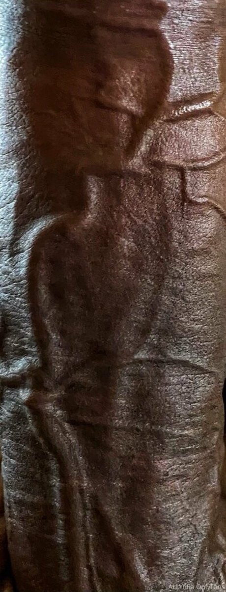 AllynRa HDスター ギャラリー