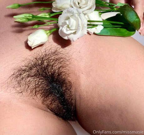 MissMasie 美しいスター 写真