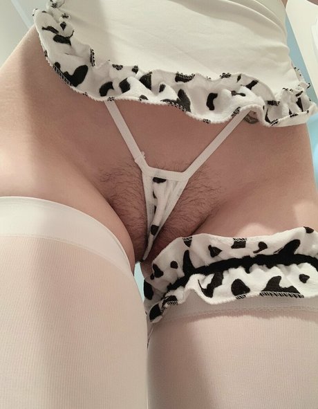 Thicc Kitty トップスター 写真