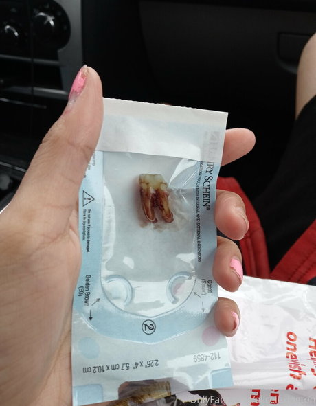 alicelexington ホットスター アーカイブ