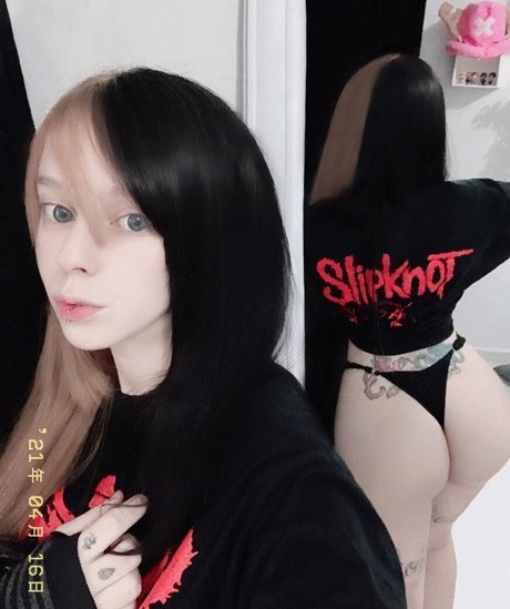 xmvndsx 無料のスター 写真