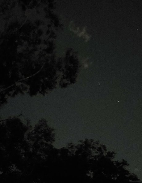 アジア人のタトゥー OnlyFans 美しい裸 写真