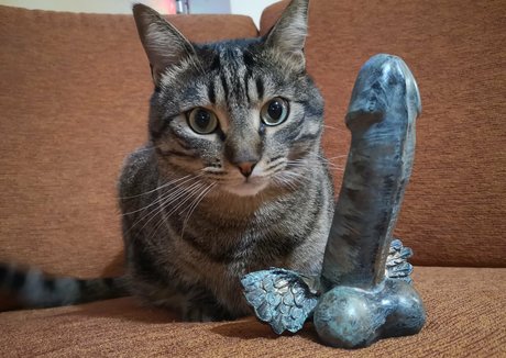 アジアンジム OnlyFans 素敵 画像