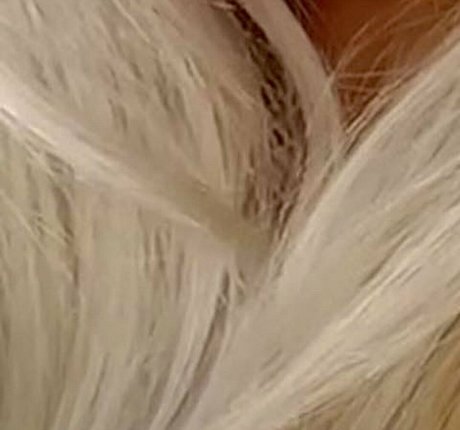 Shona Colson ポルノスター 写真