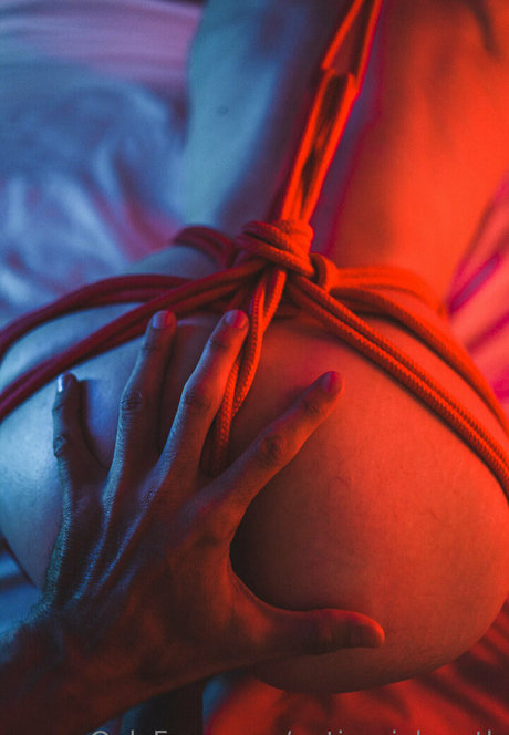 antisocial moth アダルトスター 写真