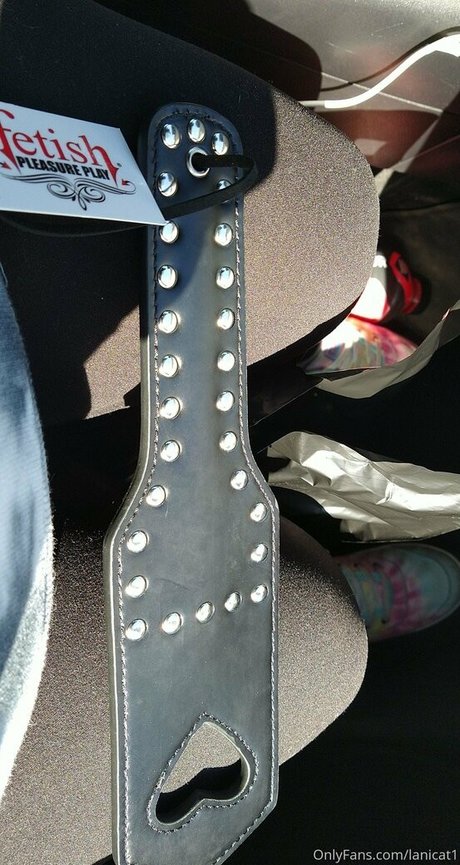 lanicat1 HDモデル 画像