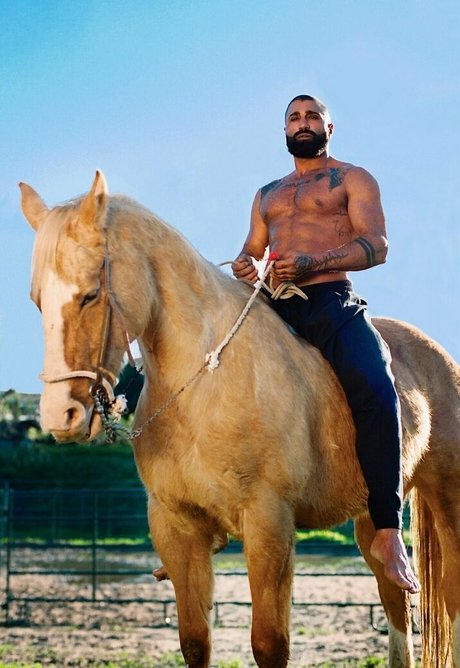 thesharok スター 裸 画像