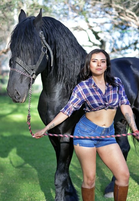 ゲイランジェリーOnlyFans 美しい裸 写真