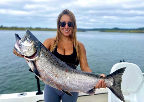 ms adventure ホットスター 写真