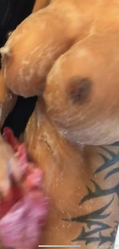 xxx アジアンオンリーファン 無料xxx ギャラリー