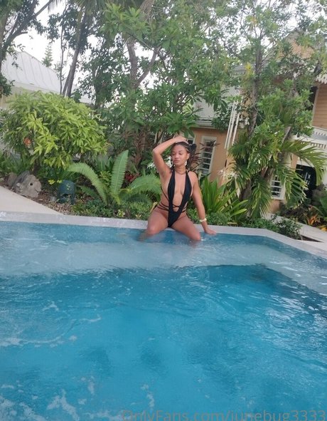 junebug3333 アダルトスター アーカイブ