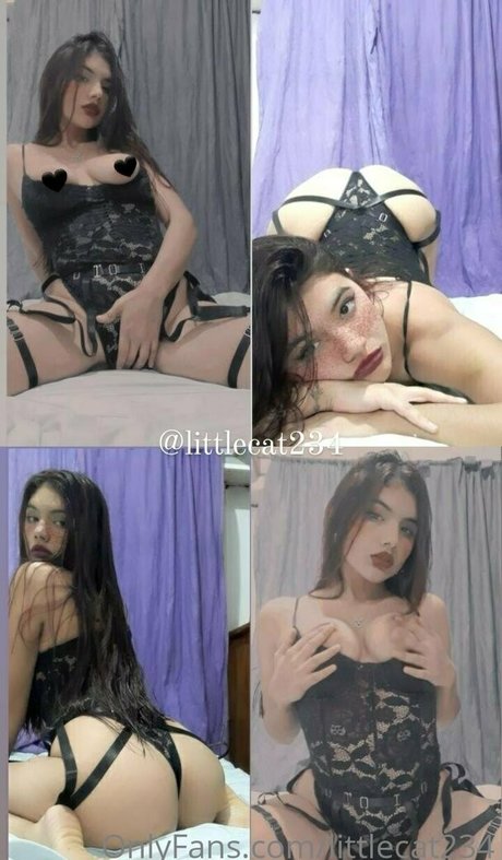 littlecat234 完璧なモデル ギャラリー