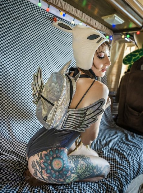 whiskey shotz 限定スター 写真