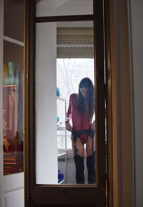 Shinetight xxxモデル 画像