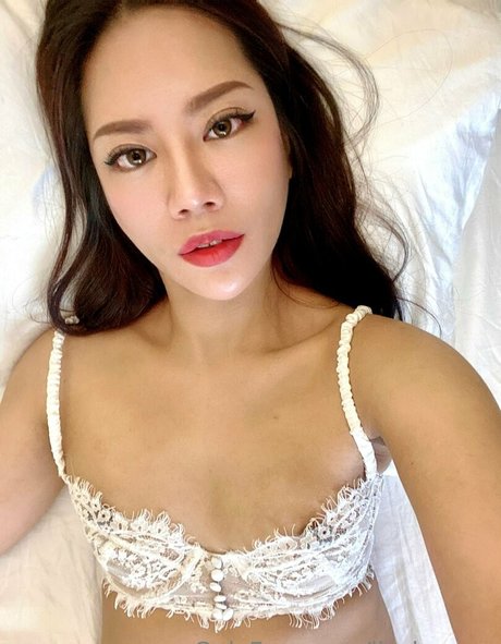 lisalunarre 美しいスター アーカイブ