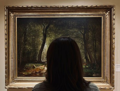 PlanetPlayBunny 美しいスター 写真