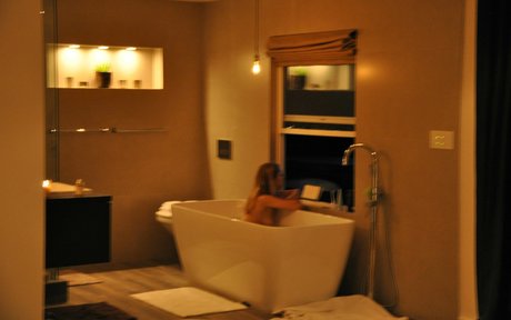 Teresa Palmer トップスター 画像