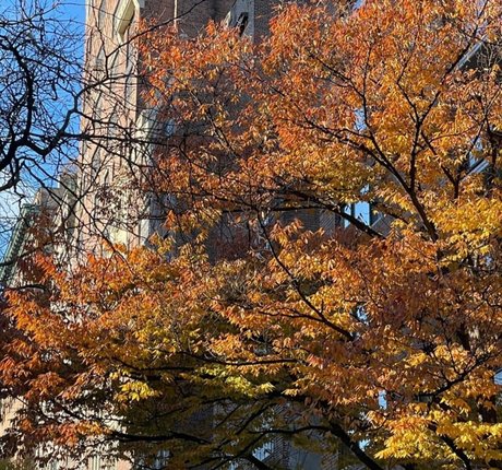 La Tecia Thomas エロティック女優 画像