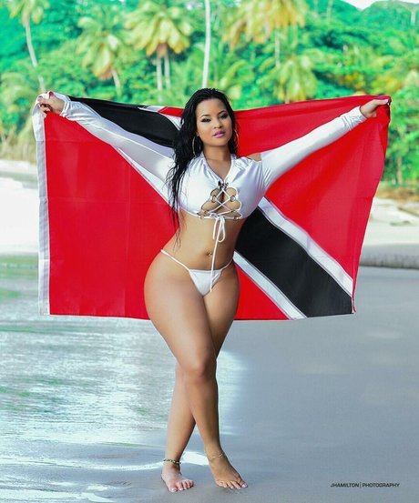 Toni Salina Chee Young ポルノモデル ギャラリー