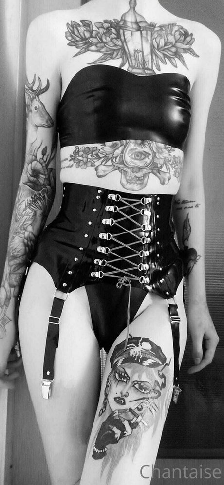 chantaise HDモデル 写真