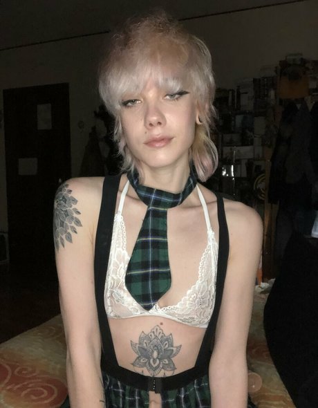 guapafree ポルノスター 無料 写真