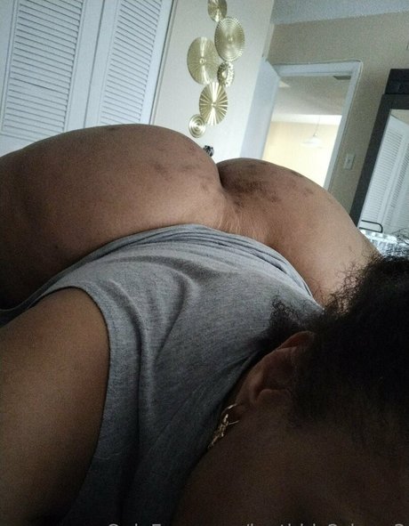 iputbbls2sham3 アートスター 写真