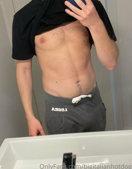 bigitalianhotdog top profile image