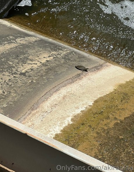 akiraalita トップモデル 写真