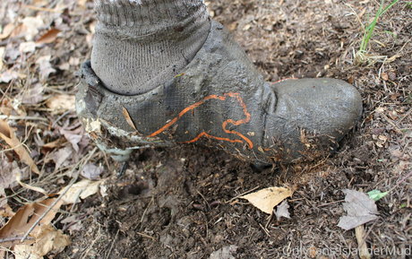 islandermud 独占スター アーカイブ