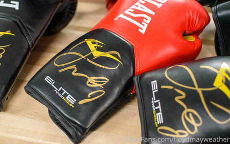 floydmayweather ポルノスター セクシー ギャラリー